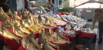 Balığa rağbet arttı