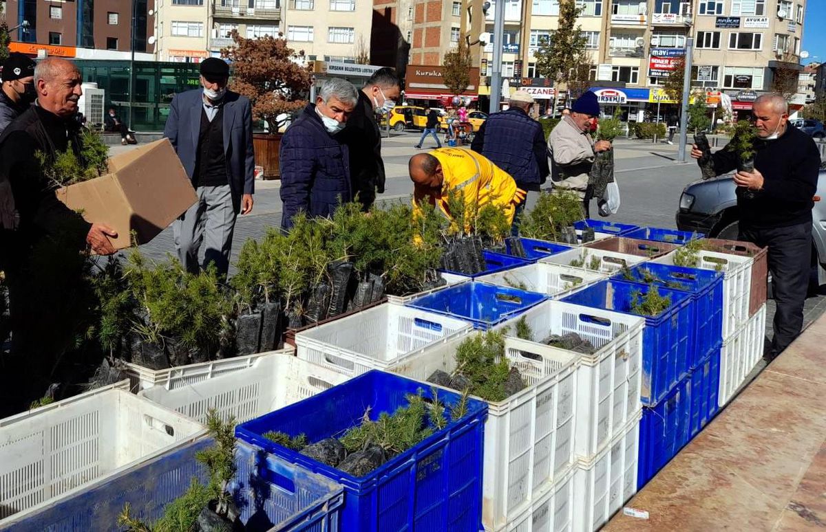 Kırşehir\'de sonbaharda 10 bin fidan dağıtılacak