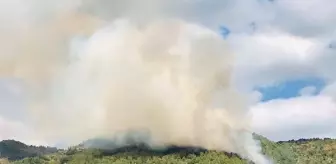 Manavgat'ta orman yangını (1)