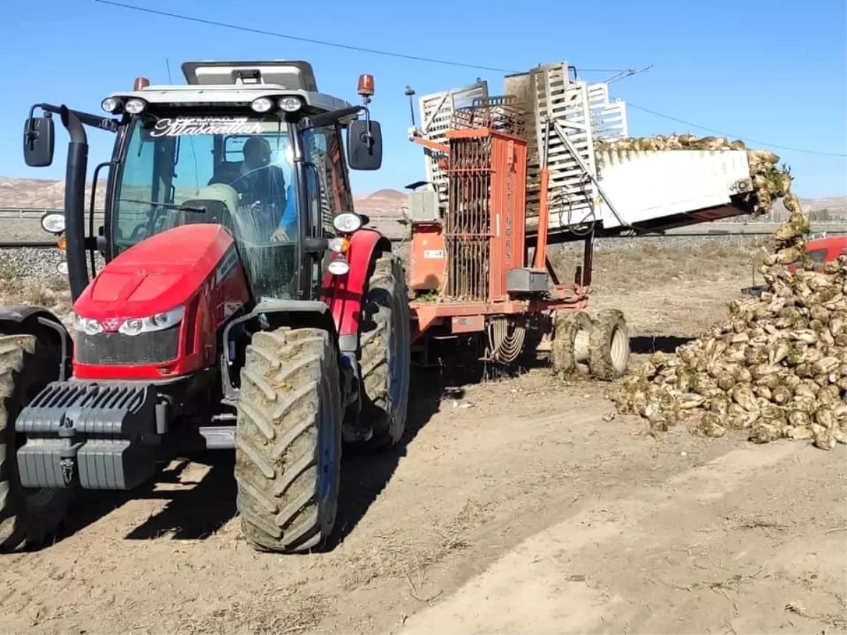 Ulaş\'ta şeker pancarı rekoltesinin 1 milyon tonu geçmesi bekleniyor