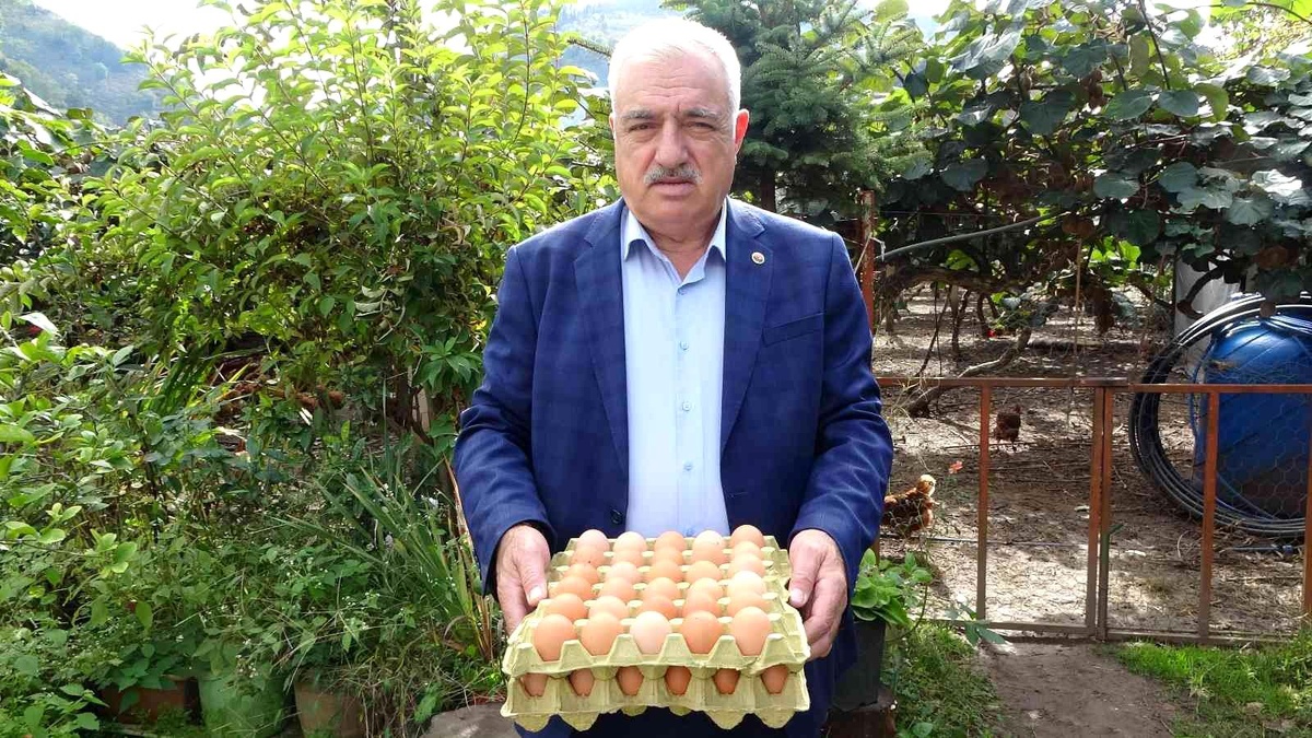 Uzunlar\'dan \'yumurta fiyatı\' açıklaması