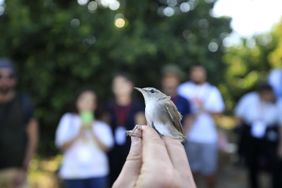Antalya\'daki istasyonda bu yıl 5 bin 200 kuş halkalandı