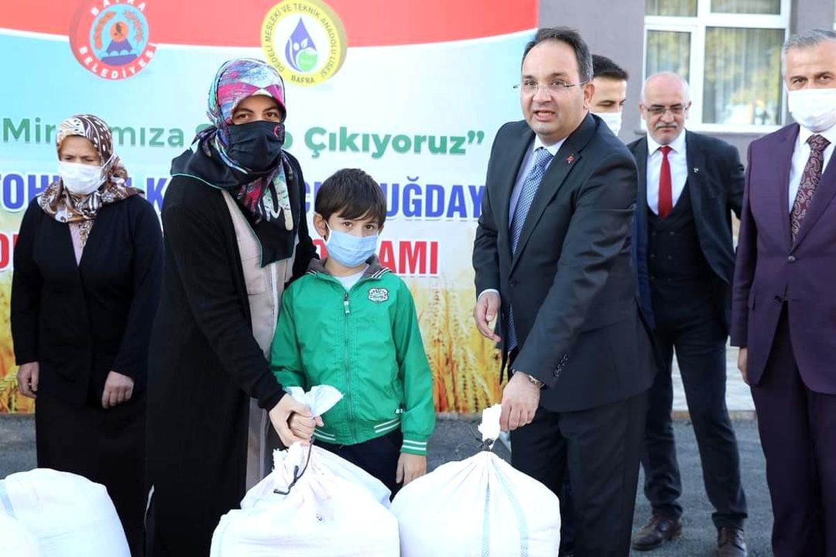 Çiftçilere karakılçık tohum desteği