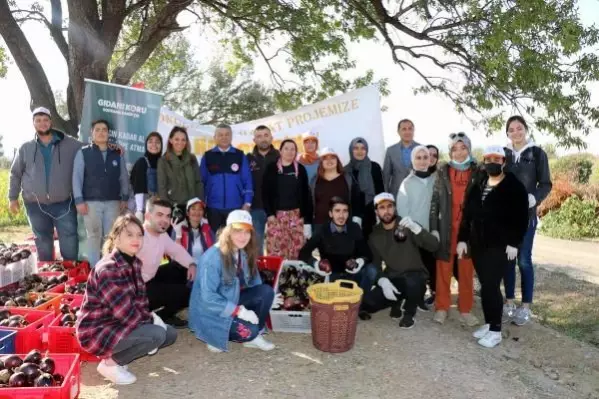 GÖNÜLLÜ GENÇLERİN 'SON HASAT' PATLICANLARI İHTİYAÇ SAHİPLERİNE