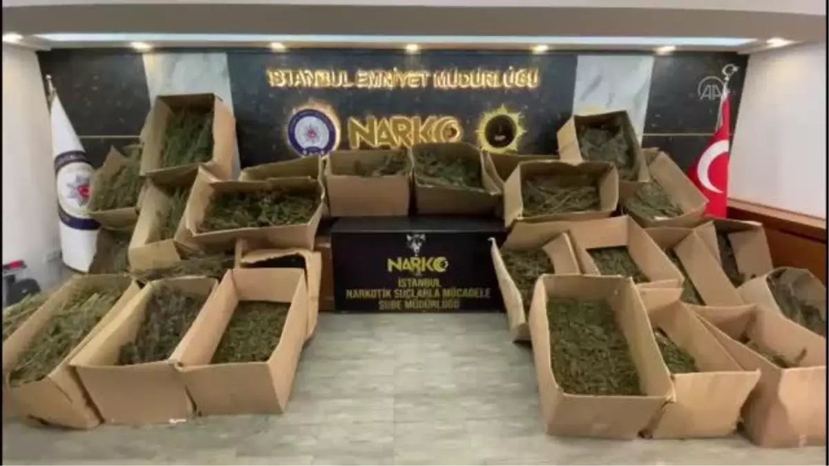 İstanbul\'da 295 kilogram uyuşturucu madde ele geçirildi