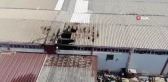 Kuruyemiş fabrikasındaki yangın: 2 işçi dumandan etkilendi