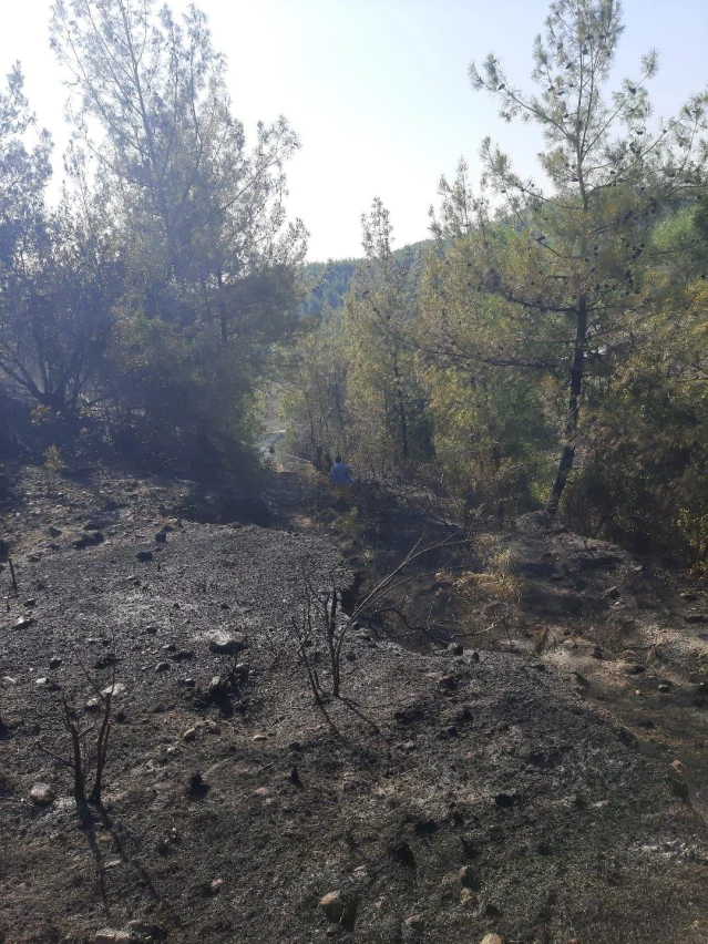 Son dakika haberi: Osmaniye'de çıkan orman yangını kontrol altına alındı
