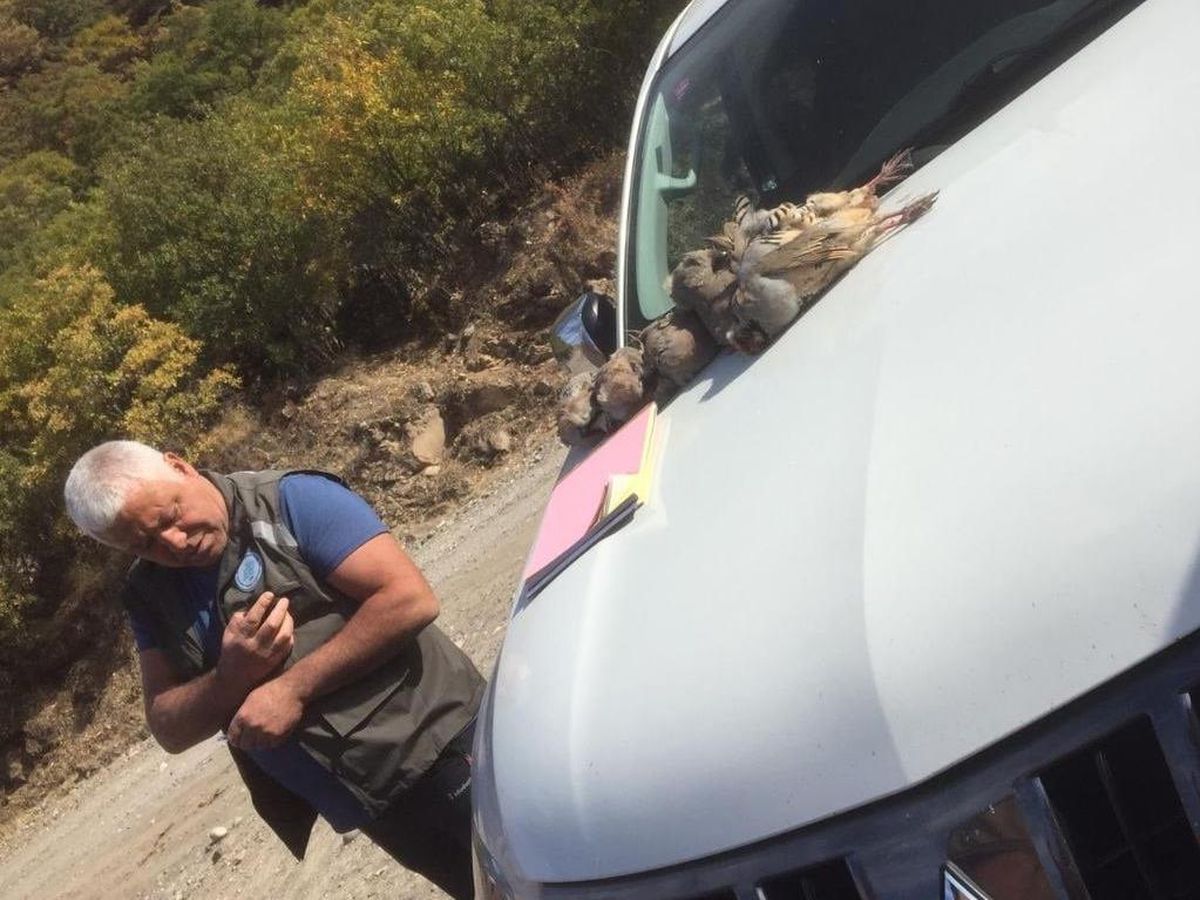 Tunceli\'de kaçak keklik avlayan 9 kişiye para cezası kesildi