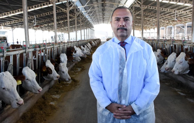 Bursa'da üretilen sütün 4'te biri hastalıktan ari işletmelerden elde ediliyor