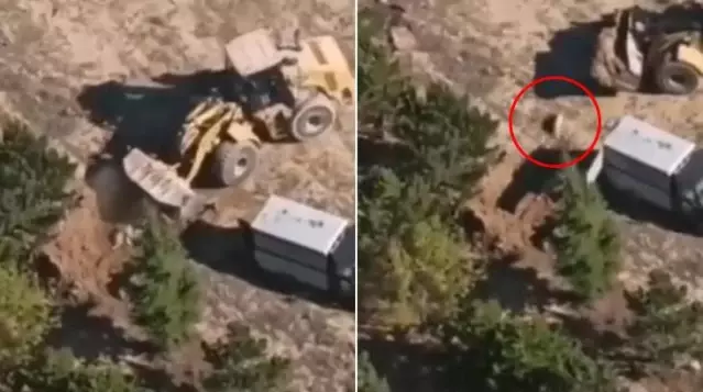 Belediye personeli, onlarca köpeği diri diri gömdü Belediye personeli, onlarca köpeği diri diri gömdü