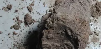 Karkamış'ta 3 bin yıl önce yönetici olan kadının mühürlerine rastlandı