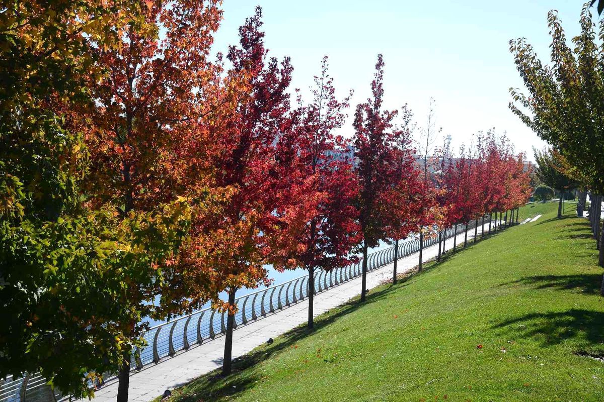Kırşehir\'de rengarenk sonbahar