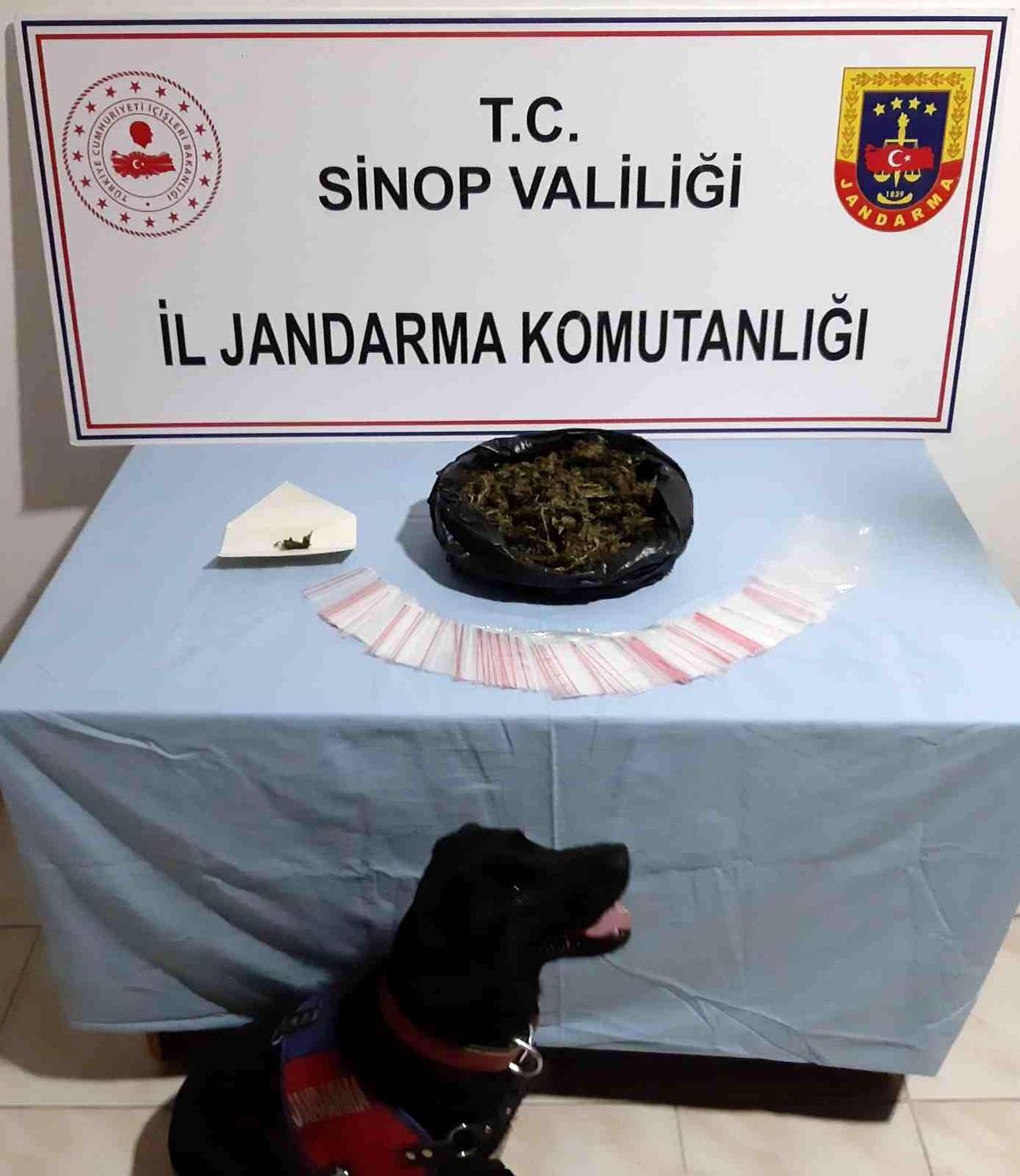 Son dakika 3. sayfa: Sinop\'ta uyuşturucu madde imal ve ticaretinden 2 kişi gözaltına alındı