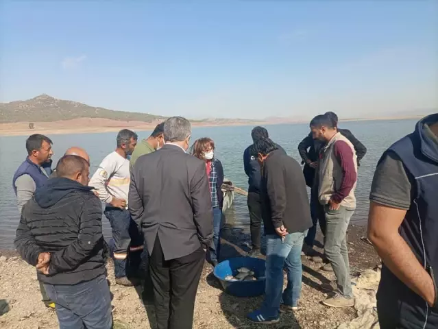 Tahtaköprü Barajı'ndaki balık türleri tespit ediliyor