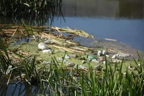 TUNCA NEHRİ ATIKLARLA ÇÖPLÜĞE DÖNDÜ