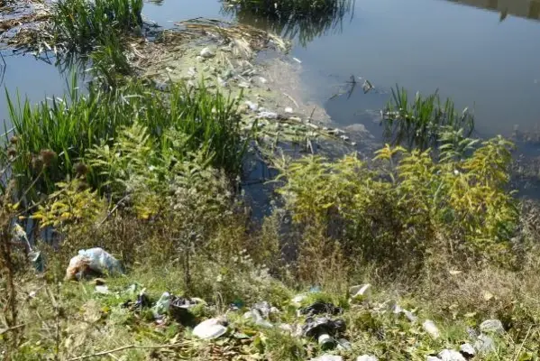 TUNCA NEHRİ ATIKLARLA ÇÖPLÜĞE DÖNDÜ