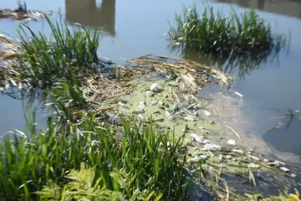 TUNCA NEHRİ ATIKLARLA ÇÖPLÜĞE DÖNDÜ