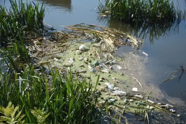 TUNCA NEHRİ ATIKLARLA ÇÖPLÜĞE DÖNDÜ