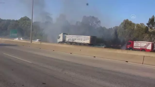 Son dakika haber... Ağaçlık alanda çıkan yangın söndürüldü