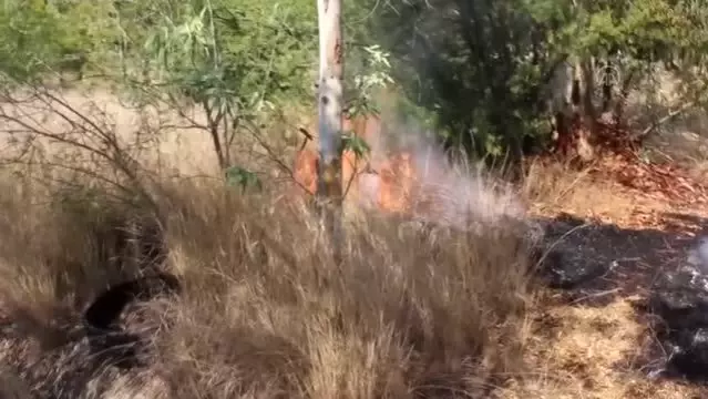 Son dakika haber... Ağaçlık alanda çıkan yangın söndürüldü