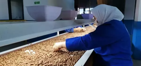 Fındık ihracatı arttı