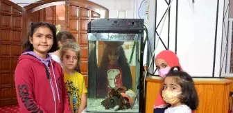 İmam, çocuklar için camiye akvaryum yaptırdı