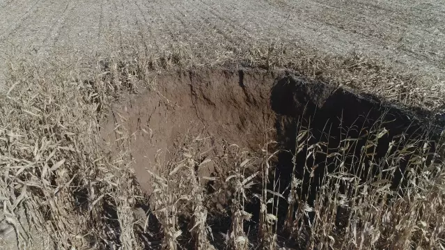 Tarlada 20 metre çapında, 12 metre derinliğinde obruk oluştu