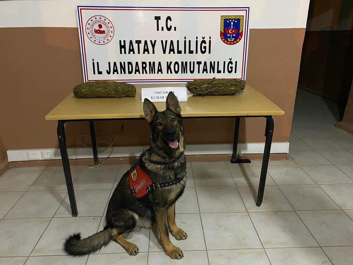 Hatay\'da 10 kilo 500 gram esrar ve 9 bin uyuşturucu hap ele geçirildi