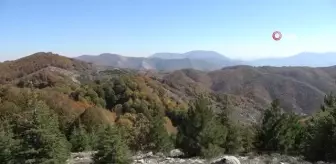 Renk cümbüşüyle mest eden bürünen Dumanlı Yaylası, doğaseverlerin vazgeçilmezi oldu