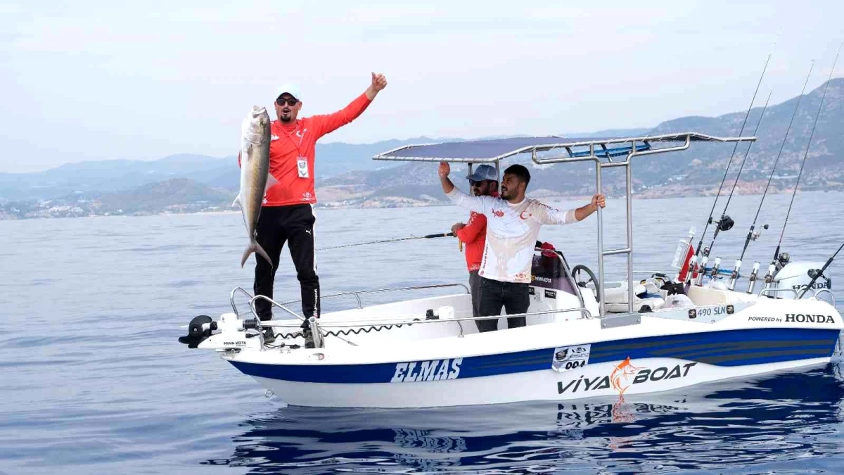 210 sporcu 105 tekne ile en büyük ve en çok balığı tutmak için yarıştı