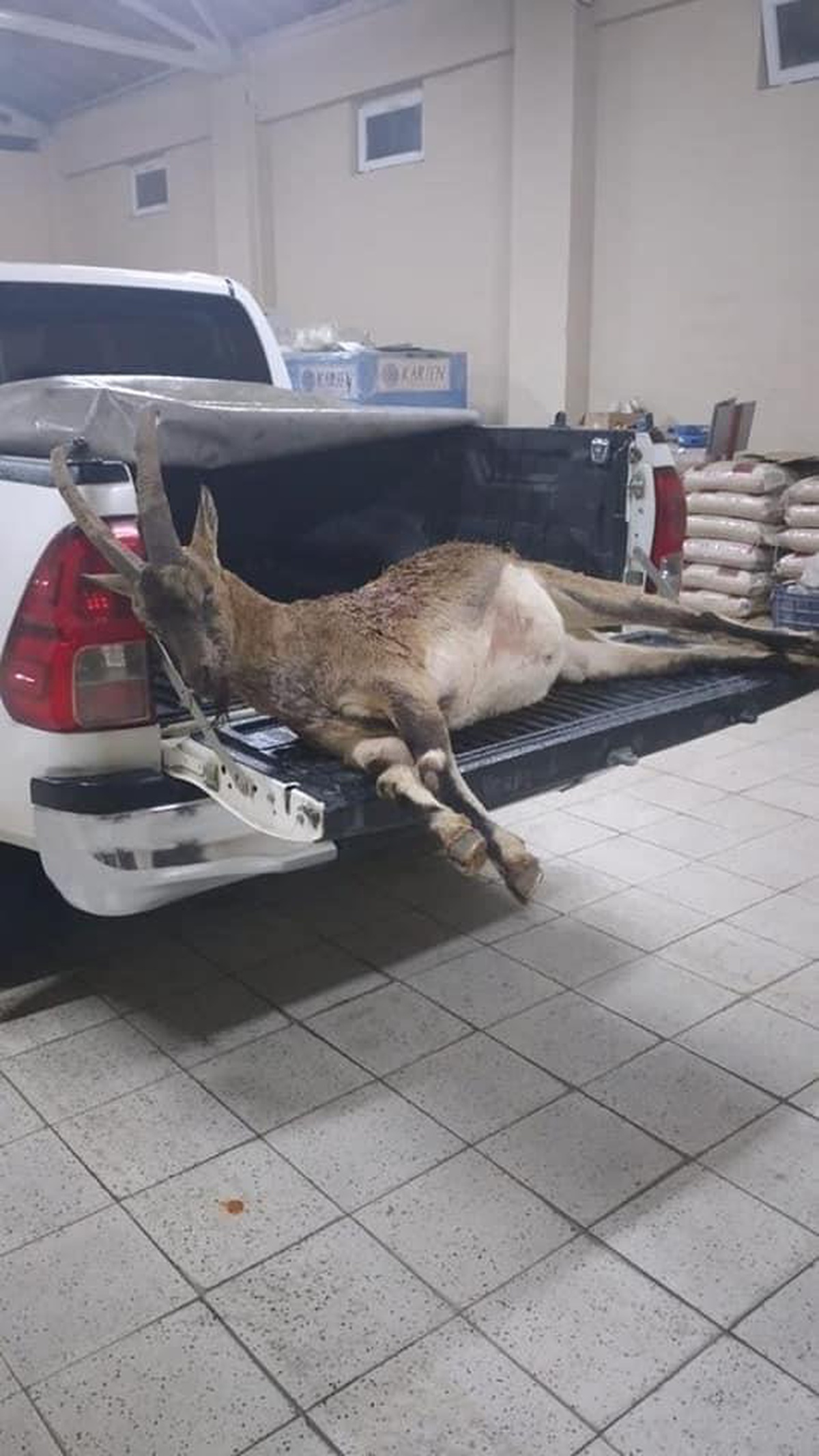 Erzincan\'da yaban keçisi avlayan 2 kişiye 63 bin 432 lira ceza