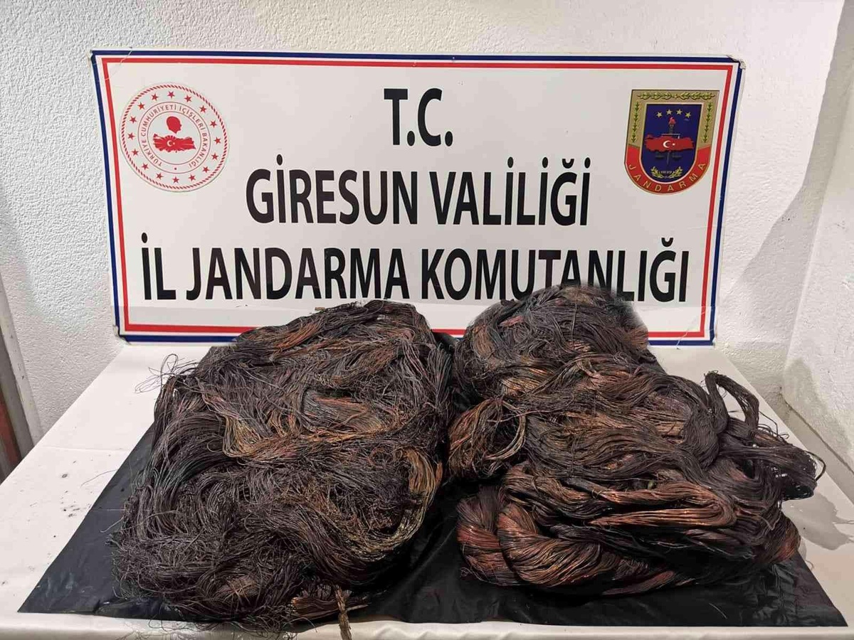 Giresun\'da kablo hırsızlığından 2 kişi tutuklandı