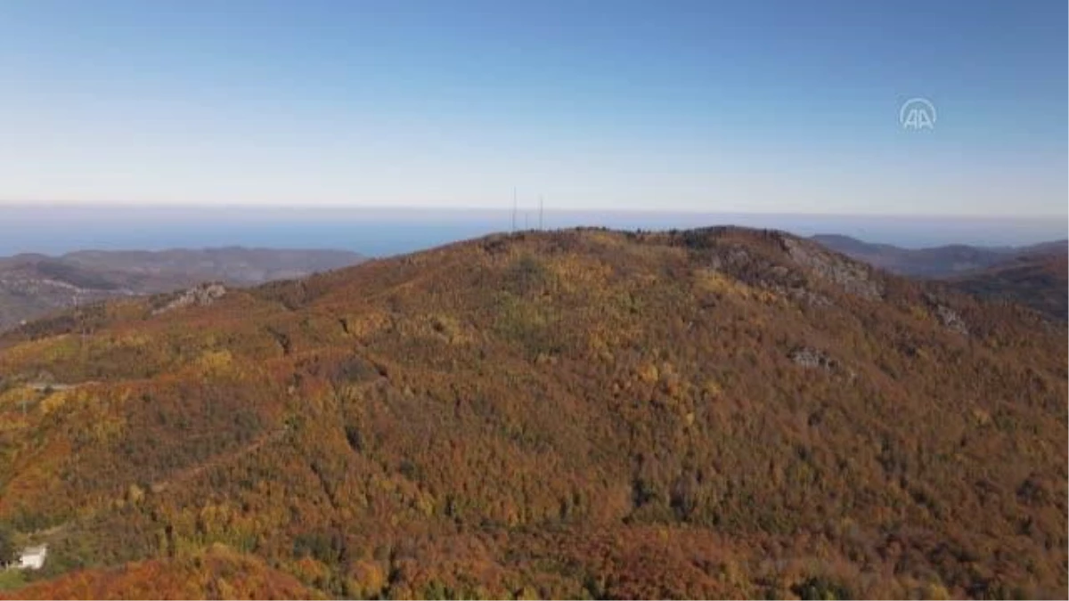 KASTAMONU - (DRONE) Küre Dağları\'nda sonbahar güzelliği