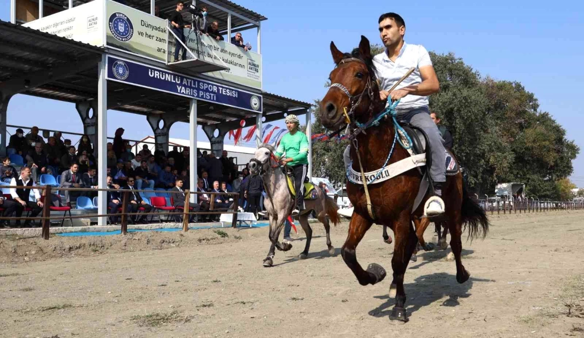 Bursa\'da rahvan atlar Cumhuriyet için koştu