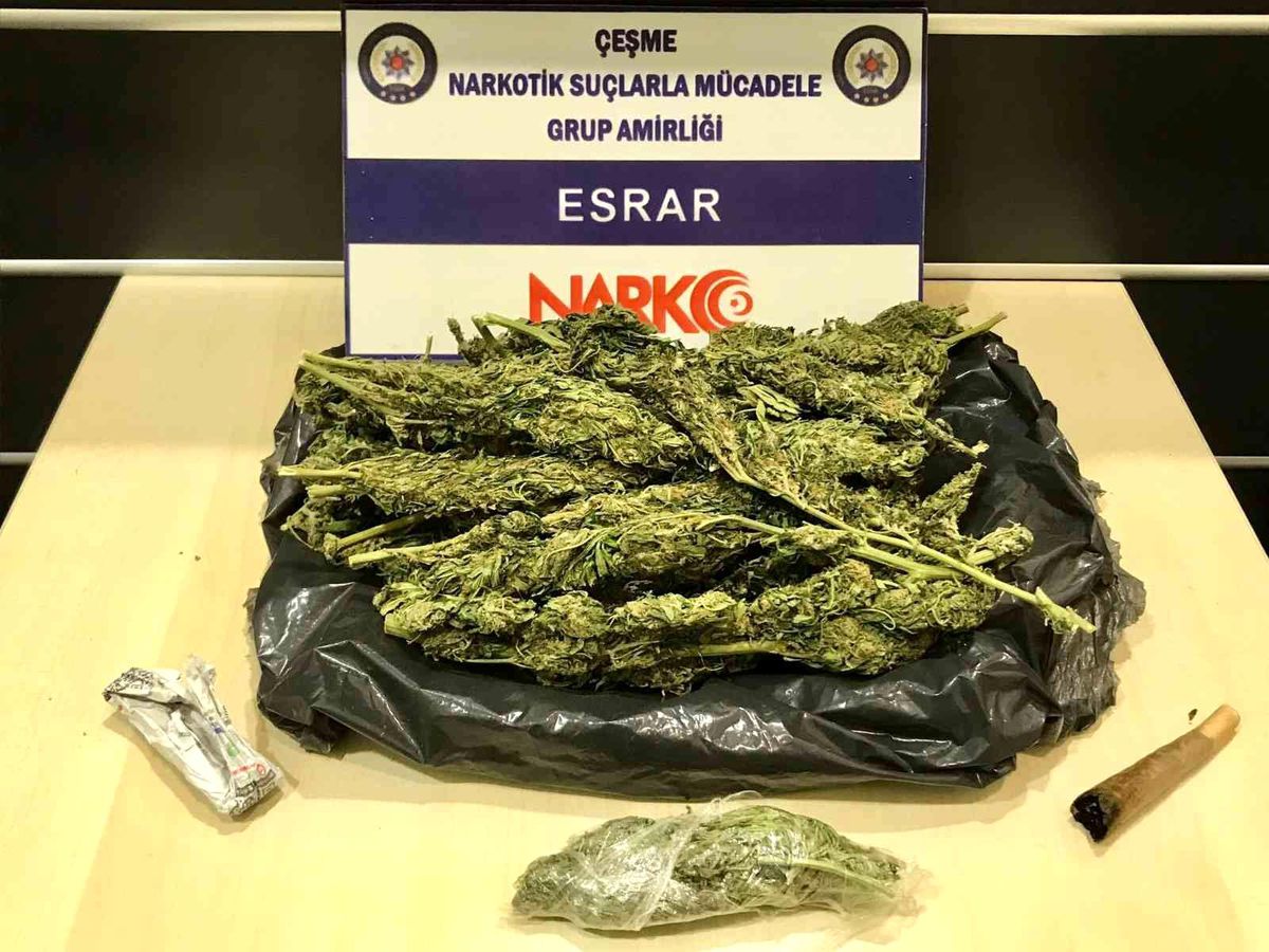 Çeşme\'de ormanlık alanda çadır kurup uyuşturucu satanlar yakalandı