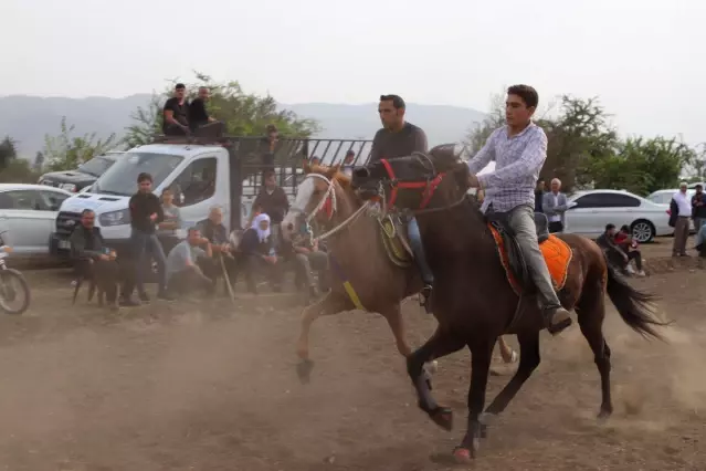 Düziçi'nde 9. Geleneksel Rahvan At Yarışları yapıldı