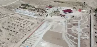 Eşi benzeri yok, köpeklerin 8 metre karelik kulübesi var