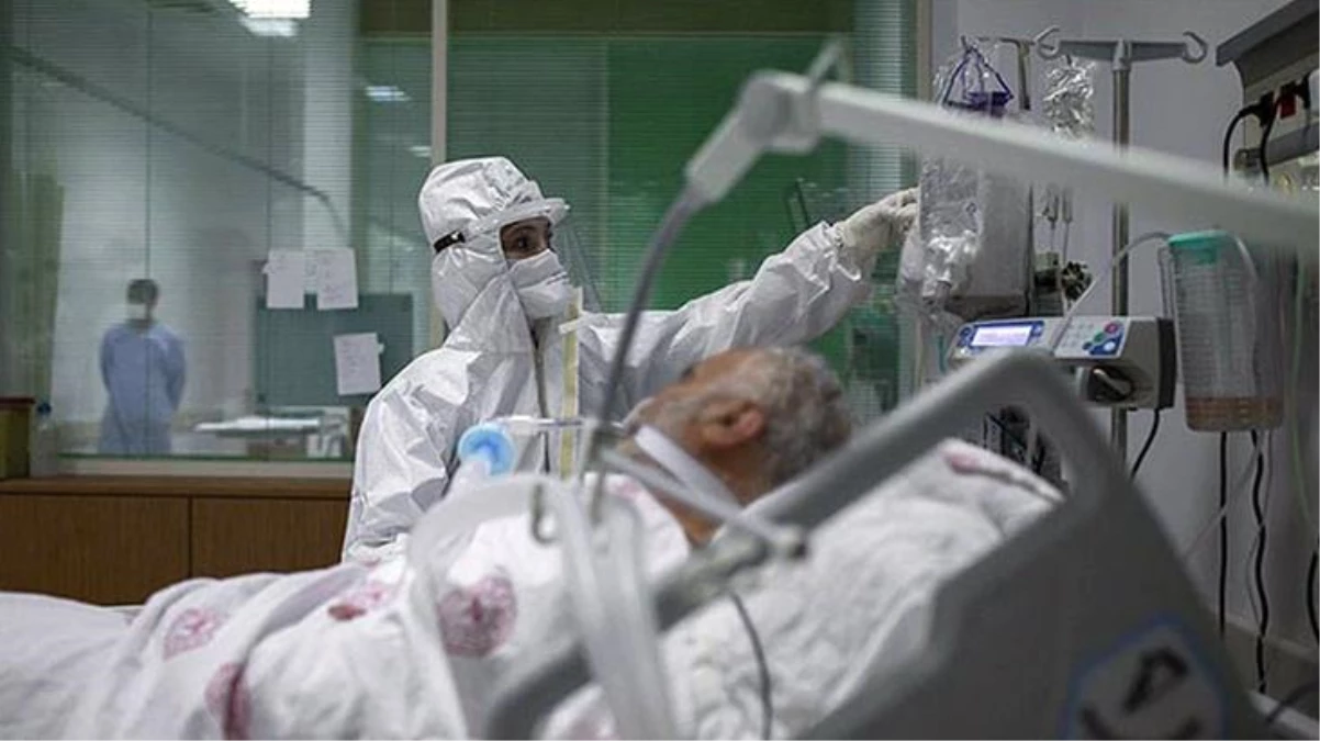Son Dakika: Türkiye\'de 1 Kasım günü koronavirüs nedeniyle 217 kişi vefat etti, 28 bin 678 yeni vaka tespit edildi