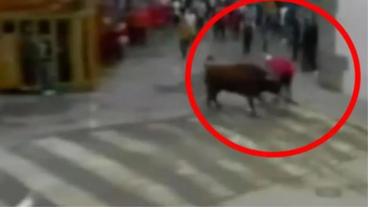 Boğadan kaçamayan adamın can çekiştiği anlar saniye saniye kamerada