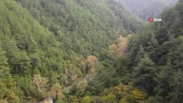 Terörden temizlenen Amanos Dağları'nda kartpostallık manzaralar