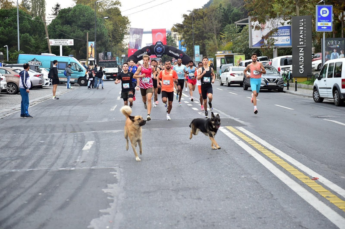 Beşiktaş\'ta Bebek 10K Koşusu ve Spor Festivali düzenledi
