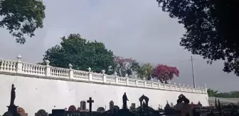 Brezilya'da Kovid-19 kurbanları için anma etkinliği düzenlendi