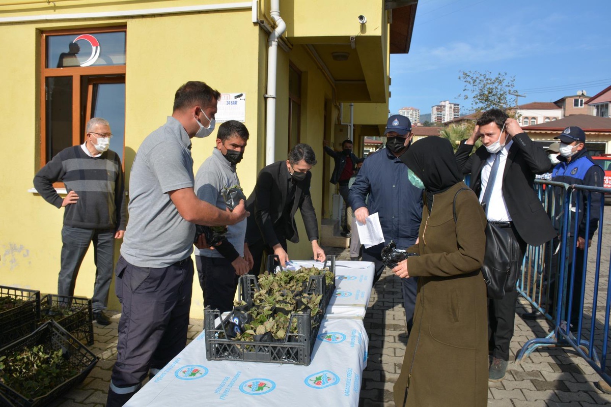Ereğli\'de vatandaşlara Osmanlı çileği fidesi dağıtıldı