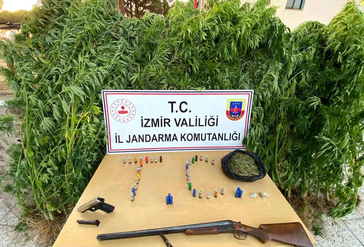Son dakika haber | İzmir\'de uyuşturucu operasyonları: 12 turuklama