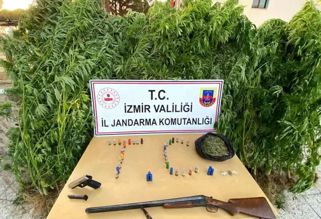 Son dakika haber | İzmir'de uyuşturucu operasyonları: 12 turuklama