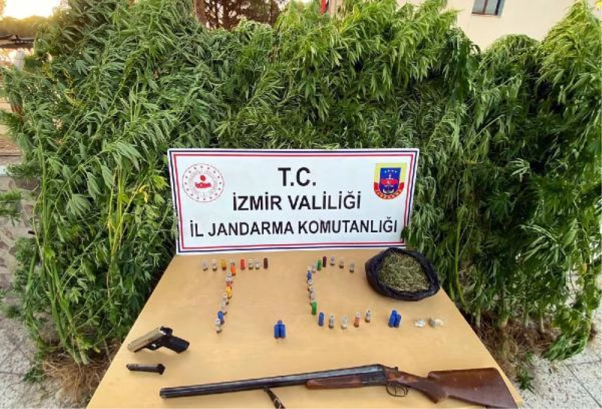 Son dakika haberi... İzmir\'in 10 ilçesinde uyuşturucu tacirlerine operasyon; 12 tutuklama