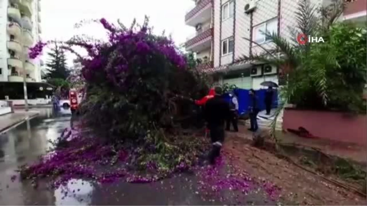 Şiddetli rüzgar ağaçları devirdi, park halindeki 2 araç hasar gördü