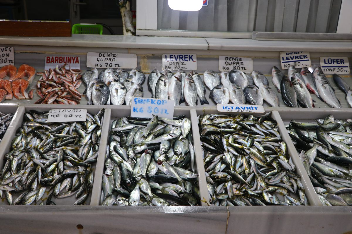 Tekirdağ\'da tezgahların gözdesi "çinekop" oldu