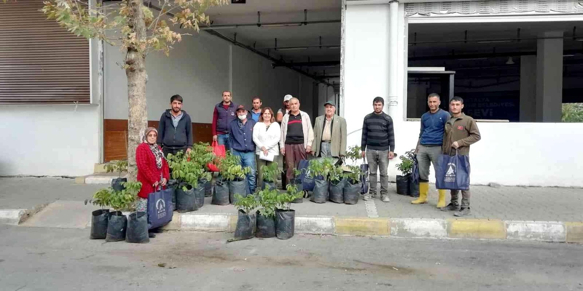 Son dakika haberleri | Yangından etkilenen ailelere ceviz fidanı desteği