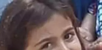 Son dakika haberleri... Yolun karşısına geçmek isteyen aile üst geçidi kullanmadı, Hilal öldü